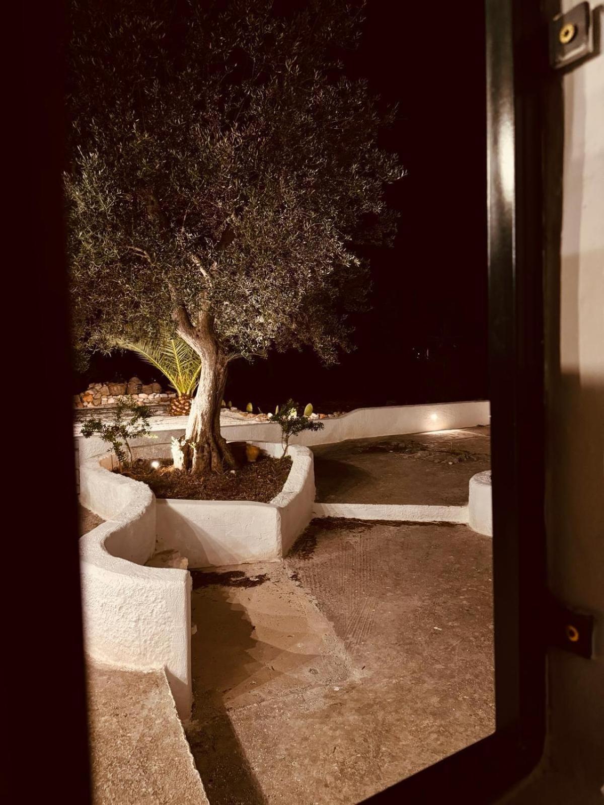Trulli In Contrada - Monopoli Pension Buitenkant foto