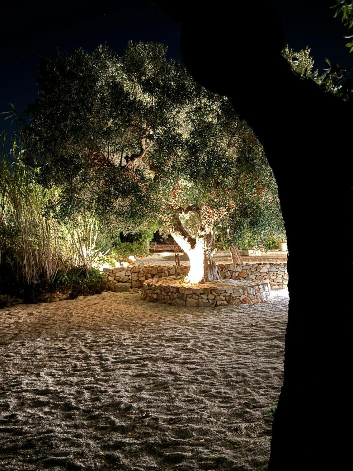 Trulli In Contrada - Monopoli Pension Buitenkant foto